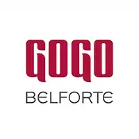 logo gogo mail